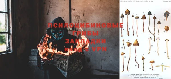 Альфа ПВП Михайловск