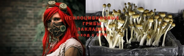 мет Михайлов