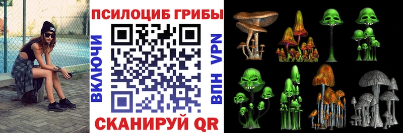 Купить  Советск  Галлюциногенные грибы Magic Shrooms 